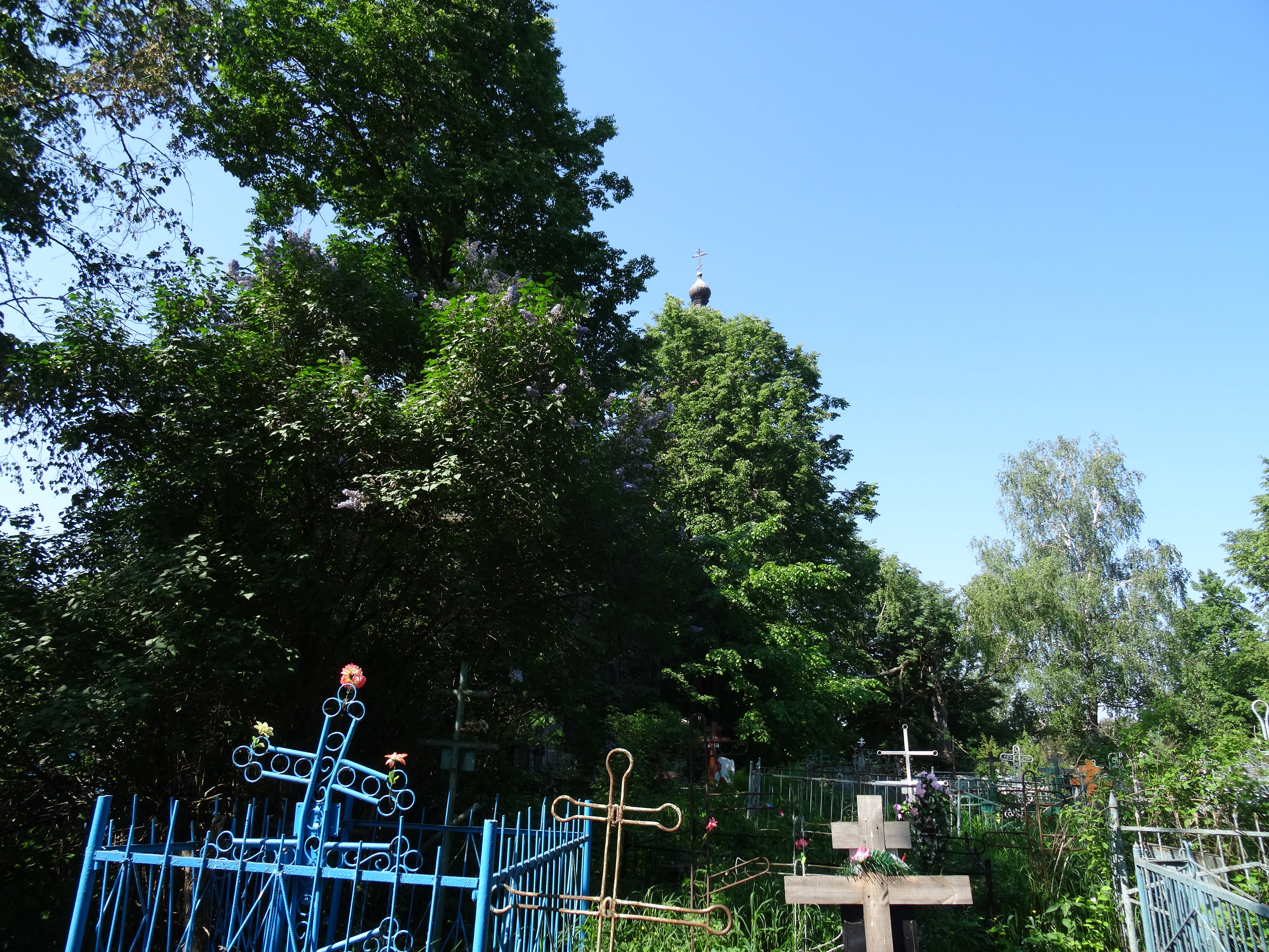 DSC01908.JPG