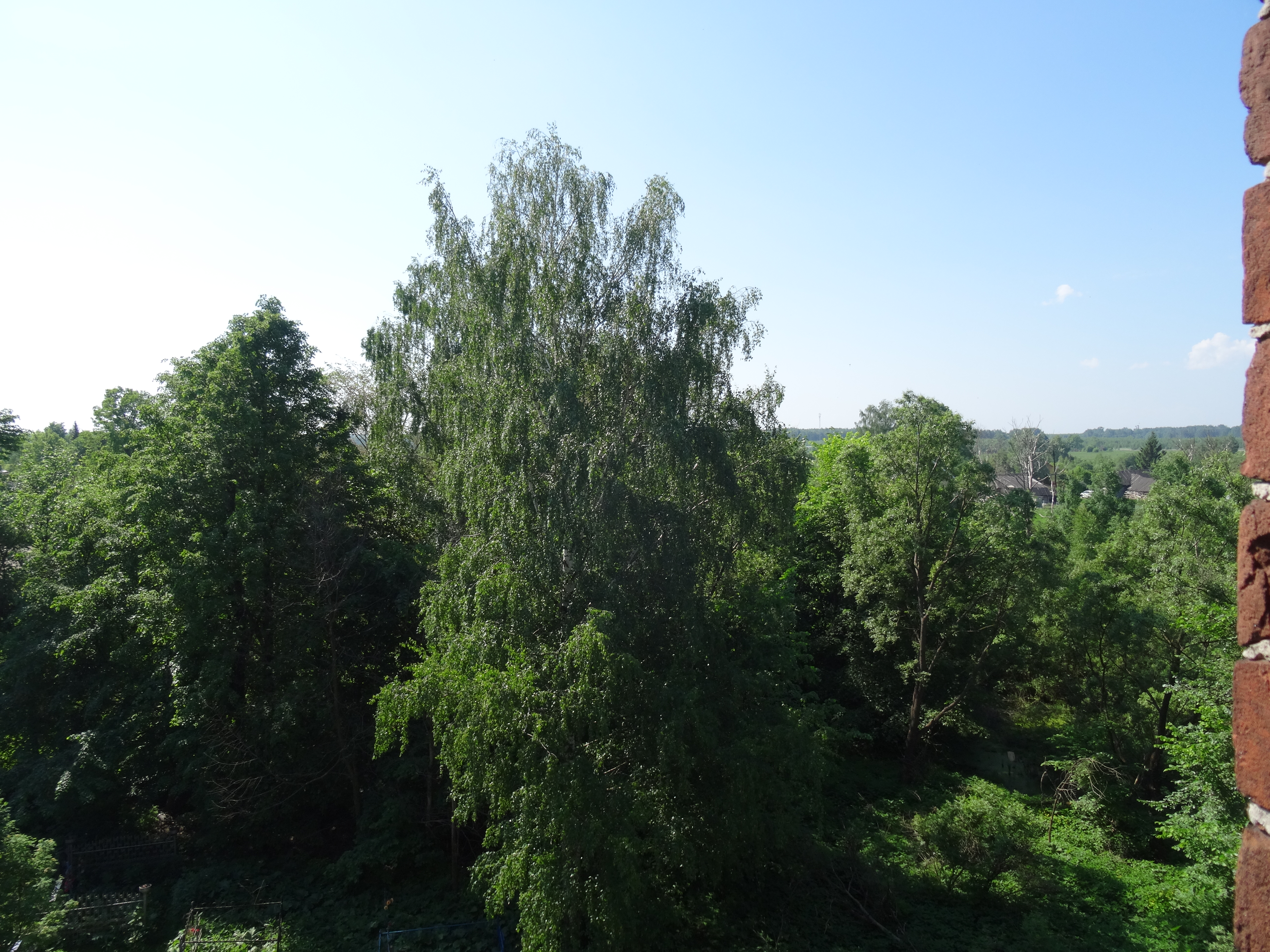 DSC01911.JPG