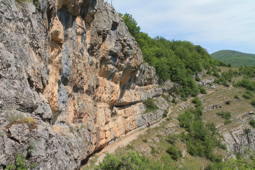 IMG_5374.JPG