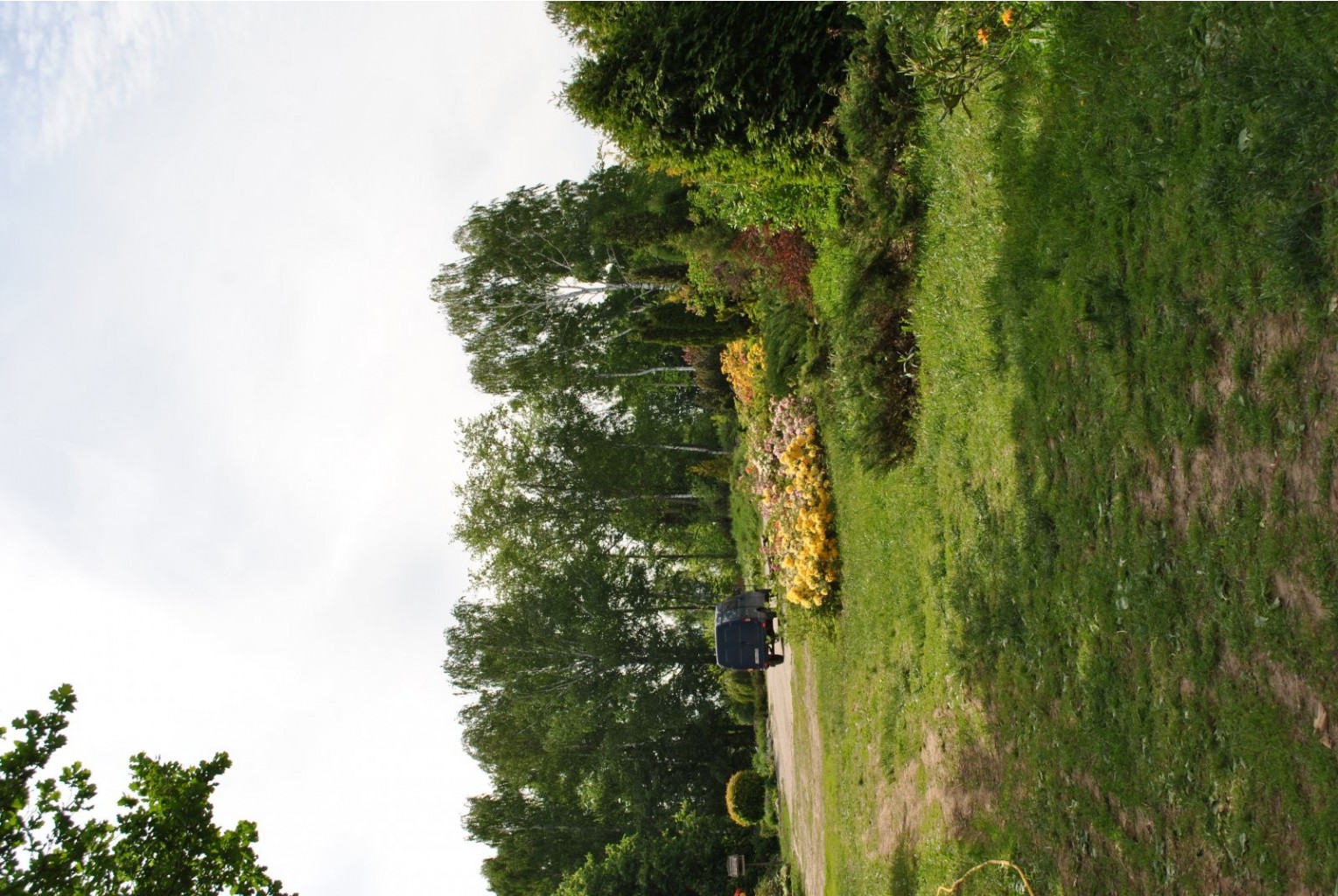 DSC_0033.JPG