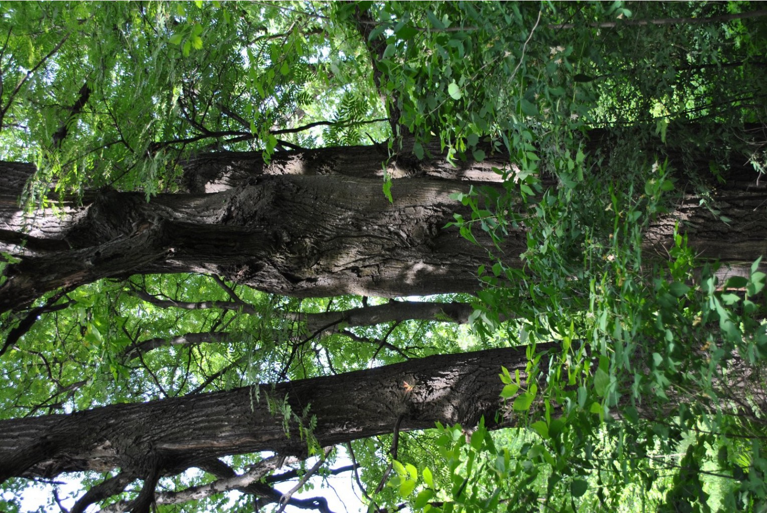 DSC_0035.JPG