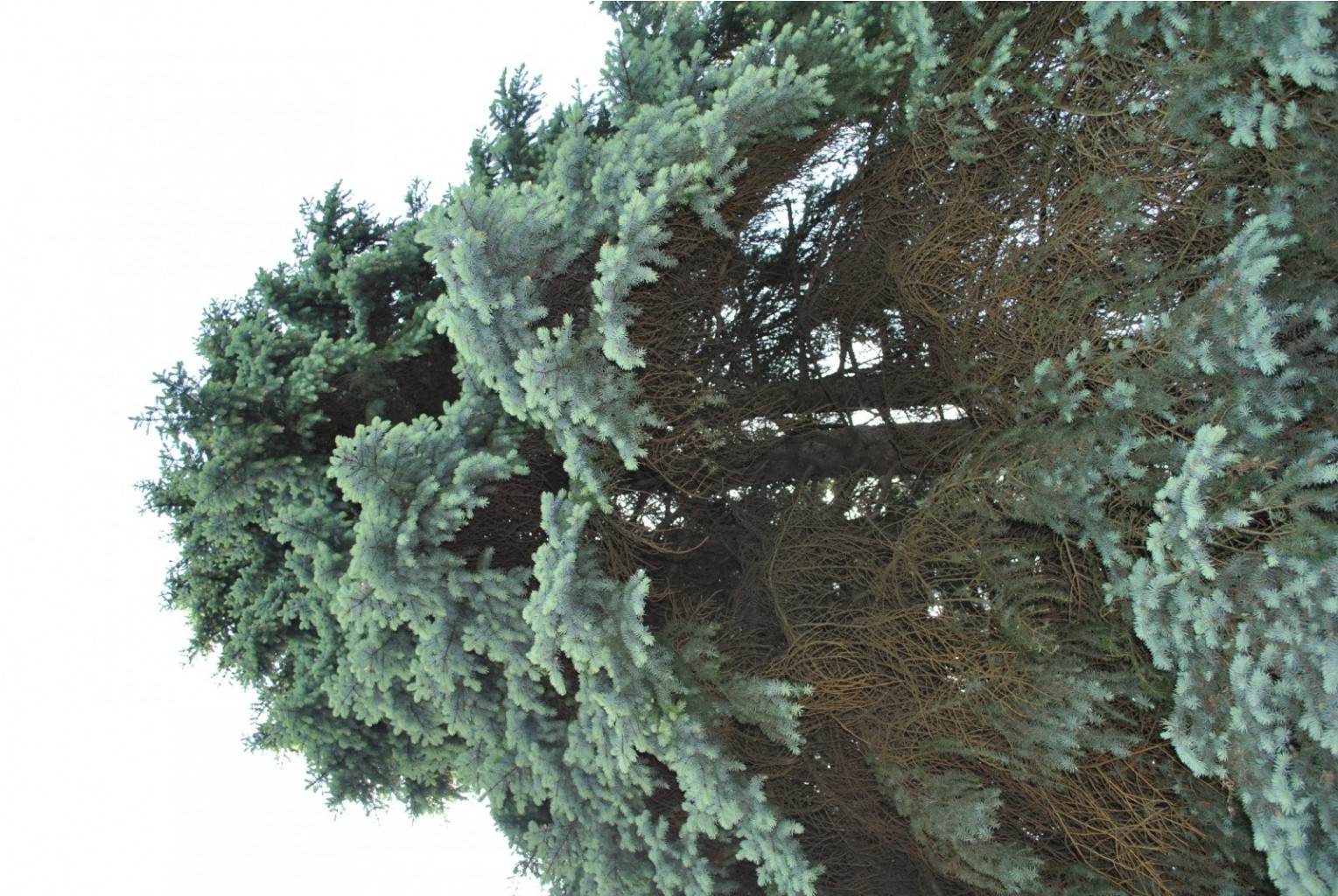 DSC_0041.JPG