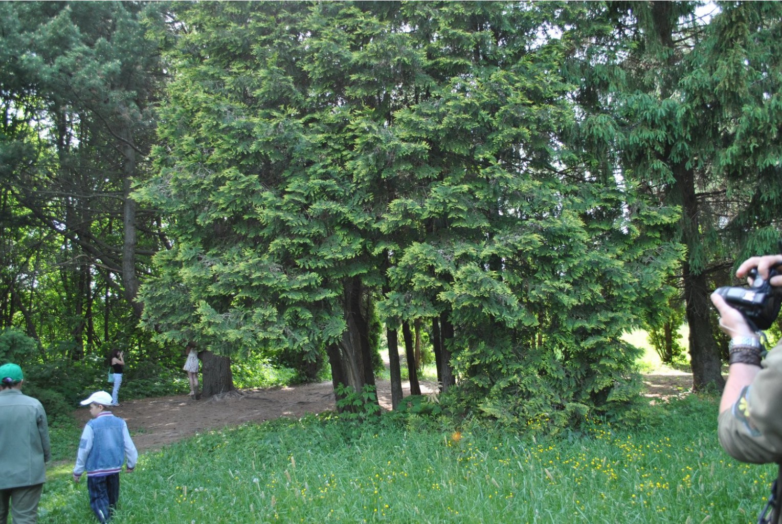 DSC_0052.JPG