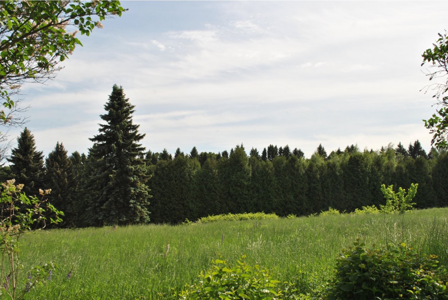 DSC_0071.JPG
