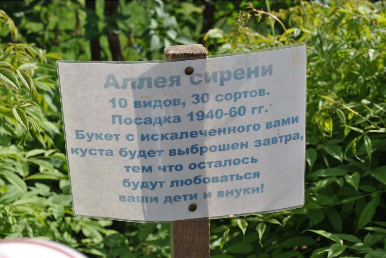 DSC_0072.JPG