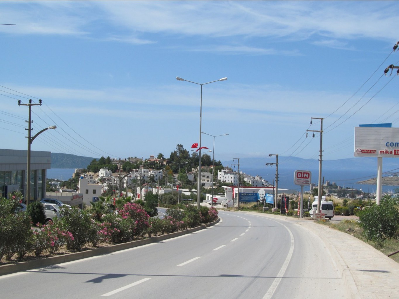  118.jpg