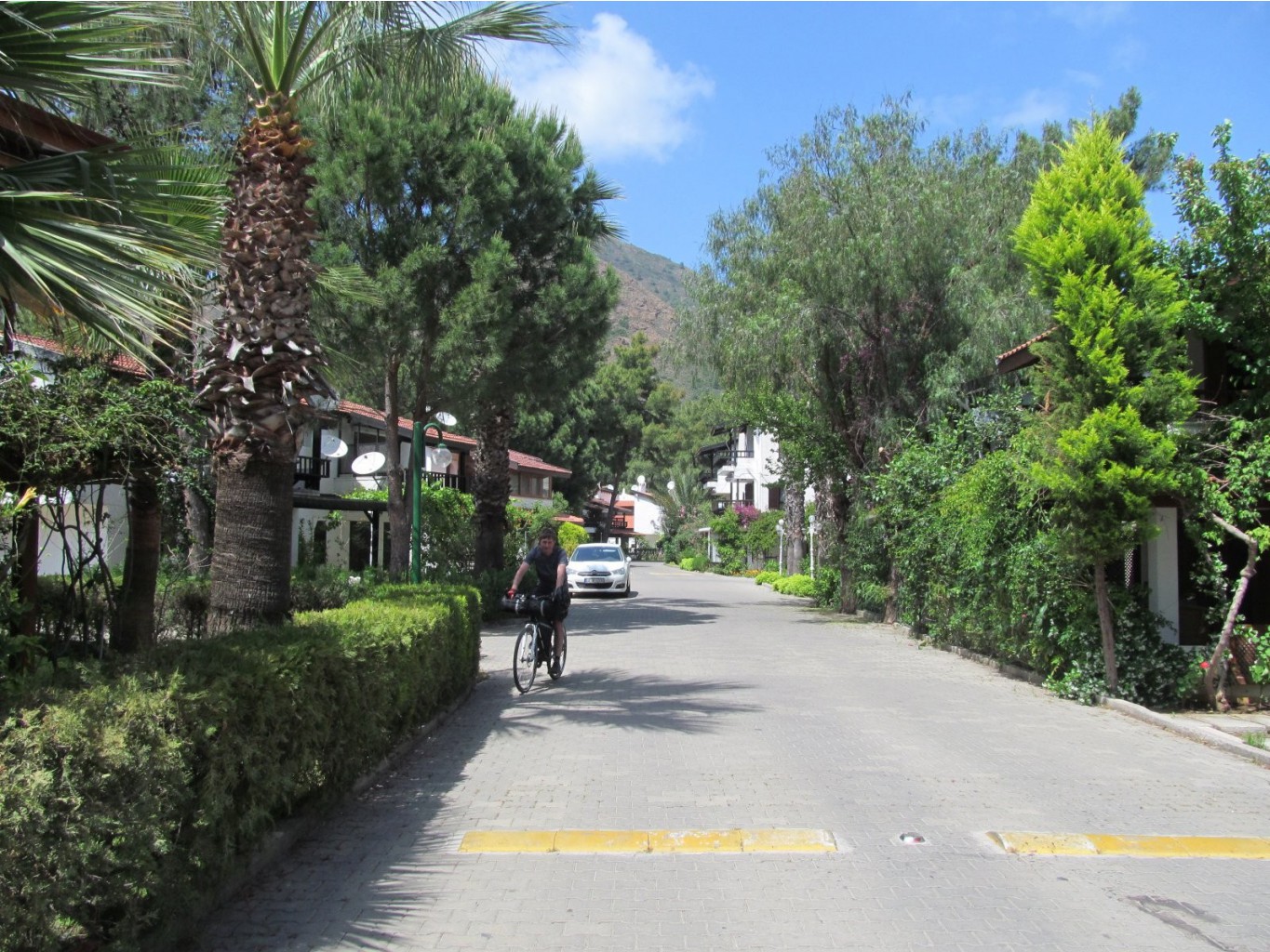  189.jpg