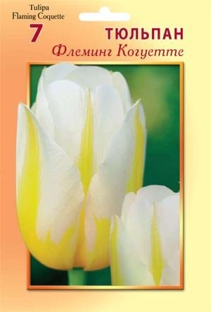 Флеминг Когуетте Цена 123,2 руб.