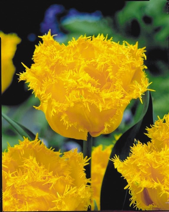 Мон Амур 177,1 руб.jpg