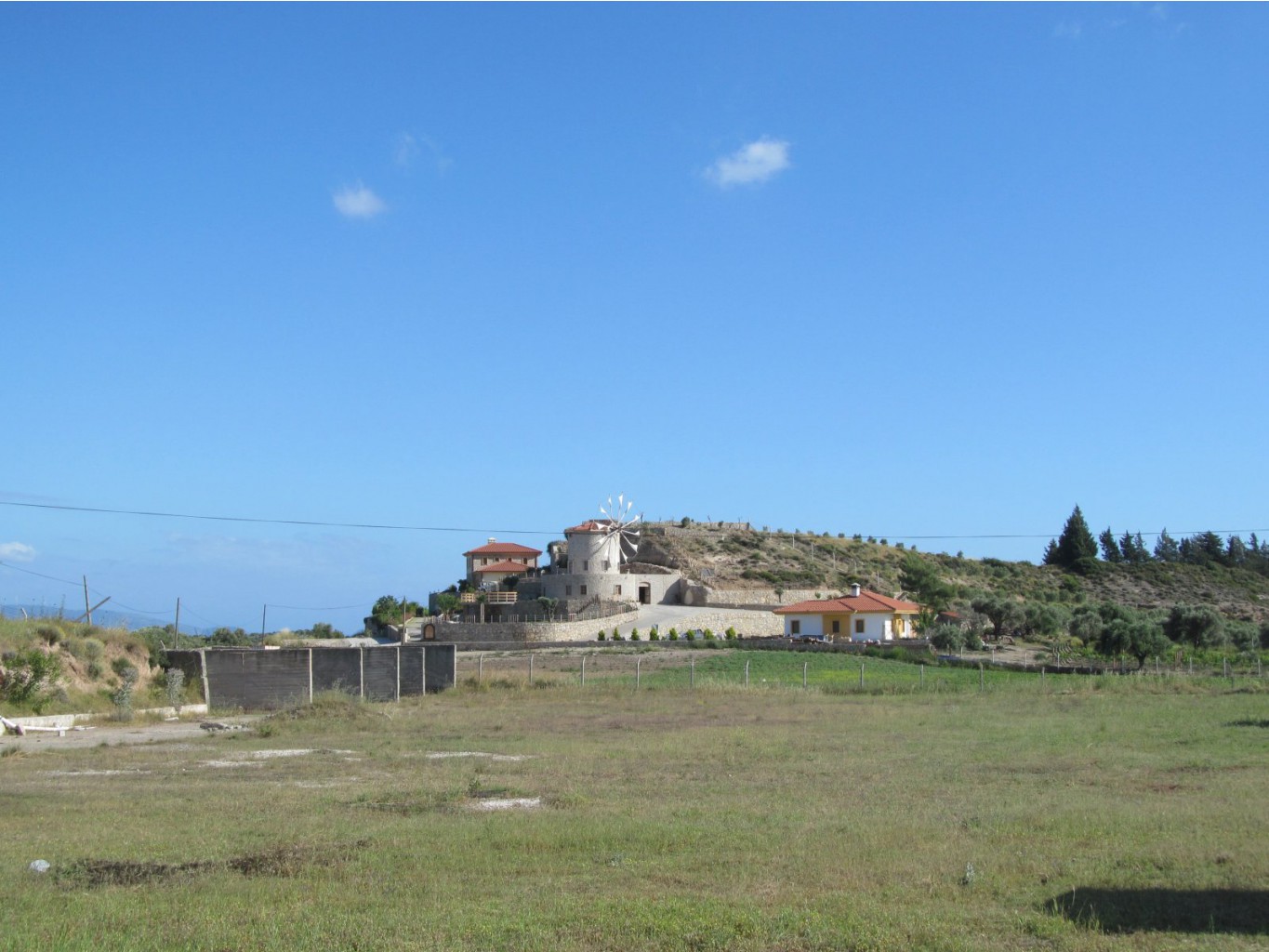  196.jpg