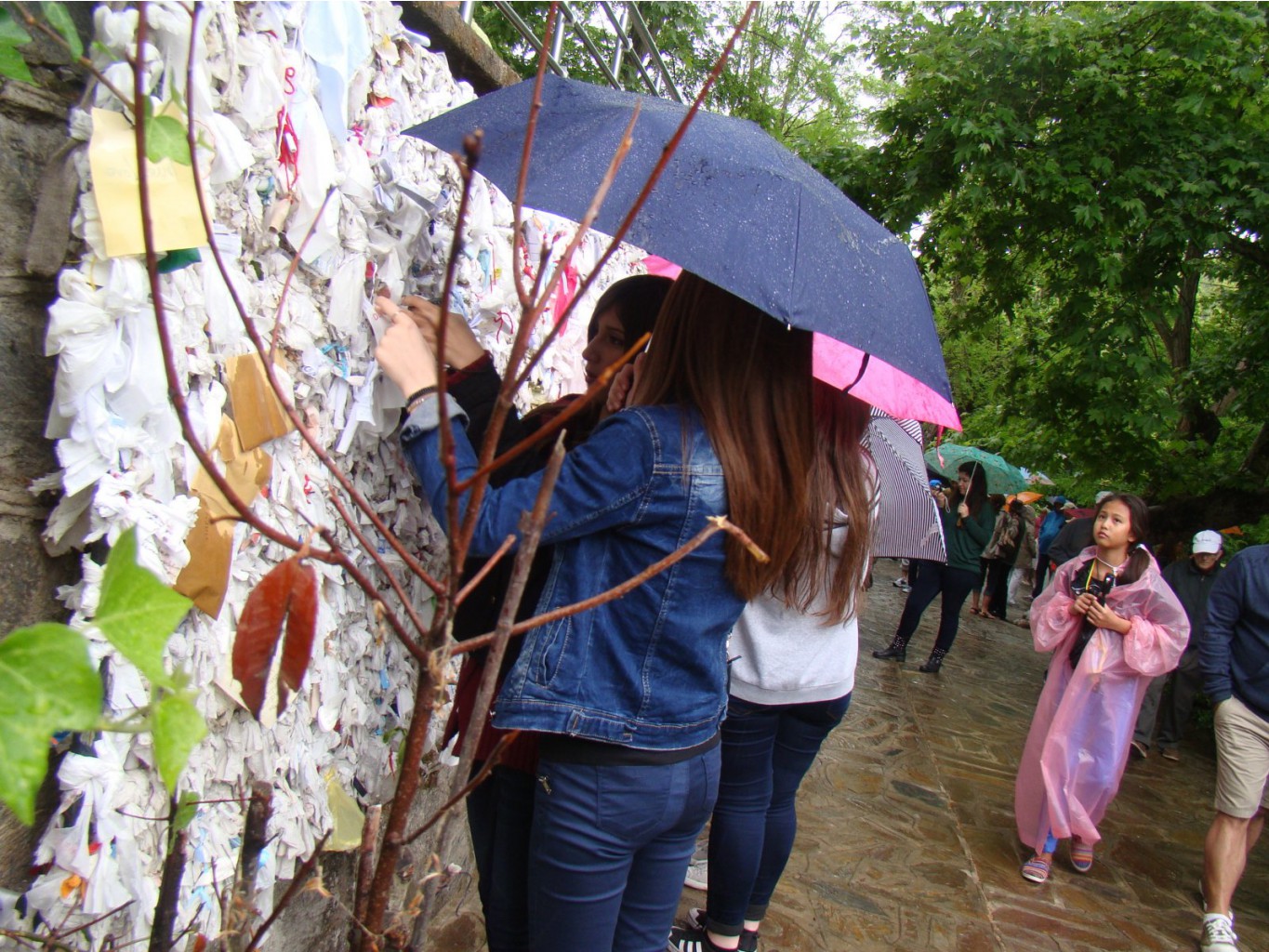 DSC06668.JPG