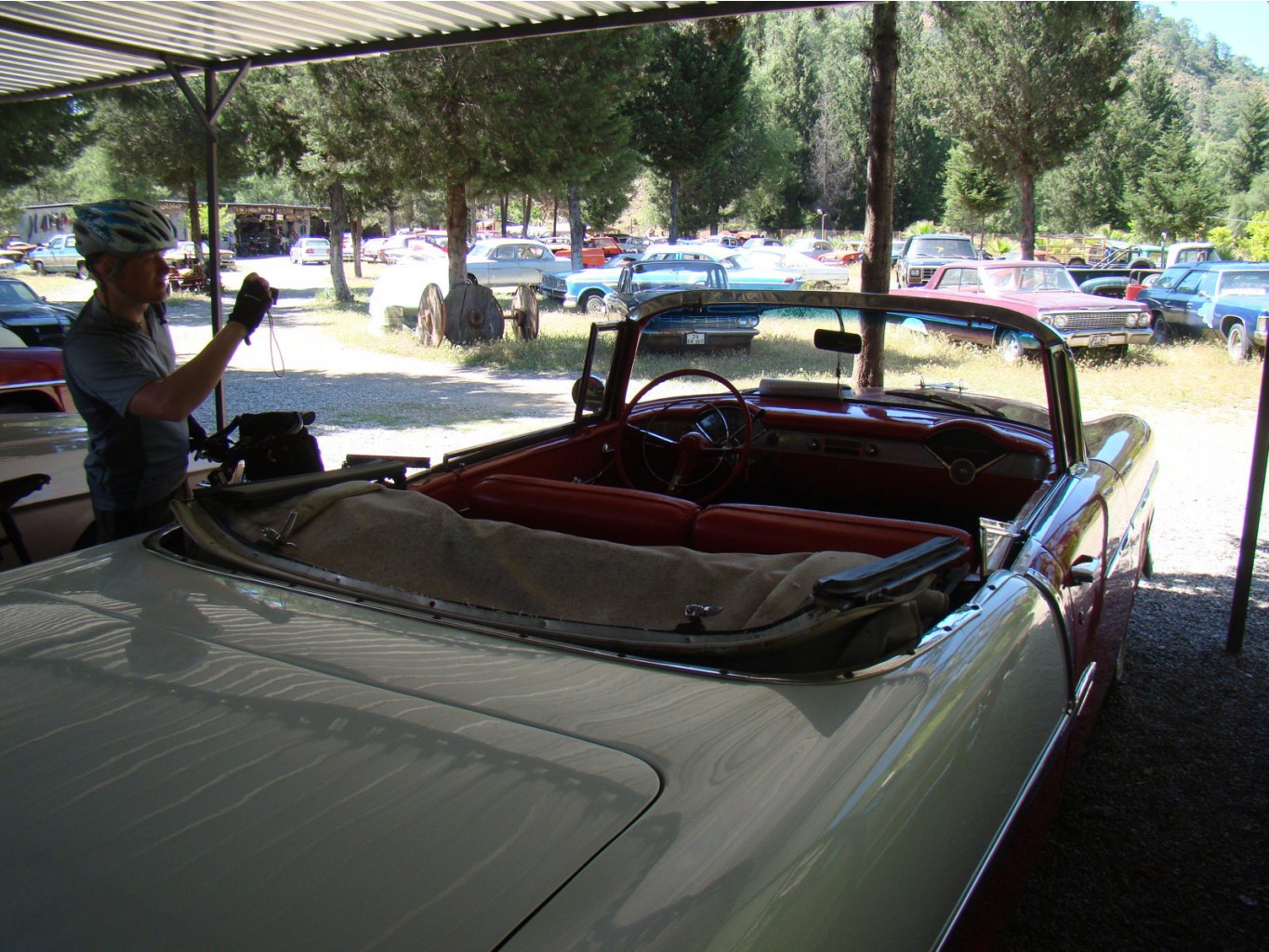 DSC06823.JPG
