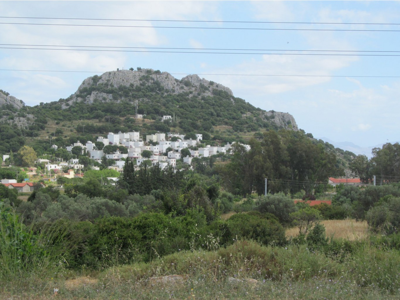  192.jpg
