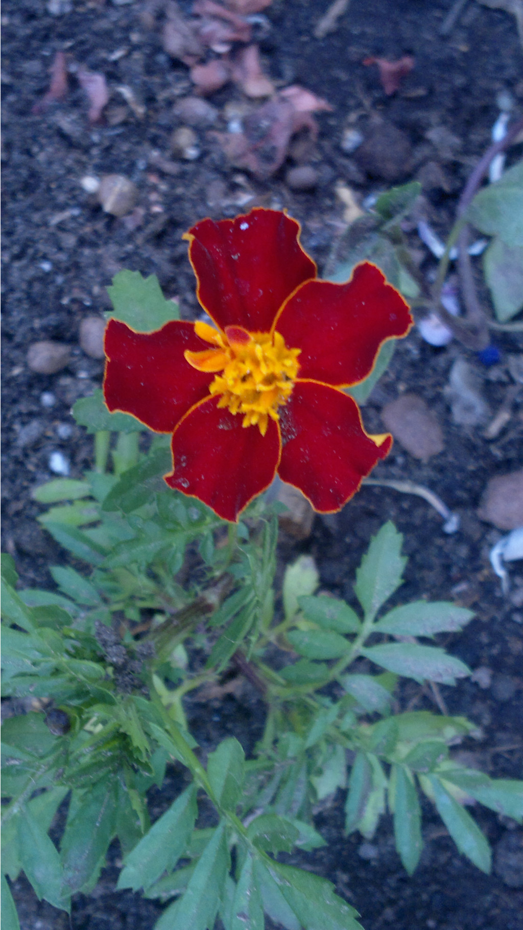 2014-05-31-1015.jpg