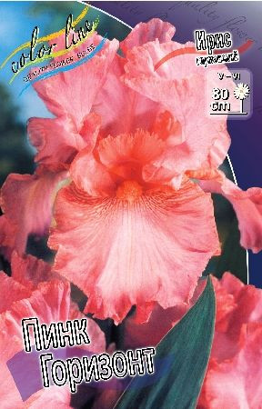 14158433.76-27rub._Iris_germanskiy_Pink_Gorizont_-Sobiraem_rjdi_po_3_st.-_minimal-niy_zakaz_1st.-.jpg