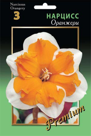 Оранжери 62,7 руб.jpg
