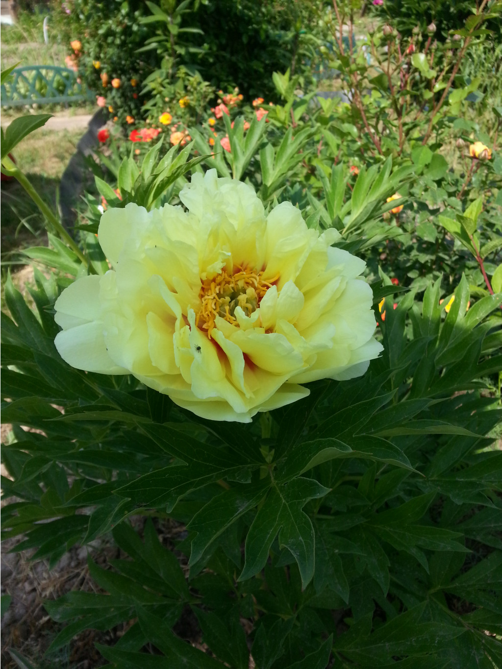 20140608_103611.jpg