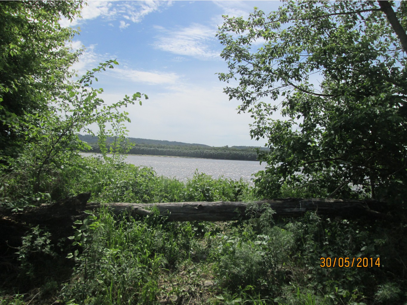 IMG_2463.JPG