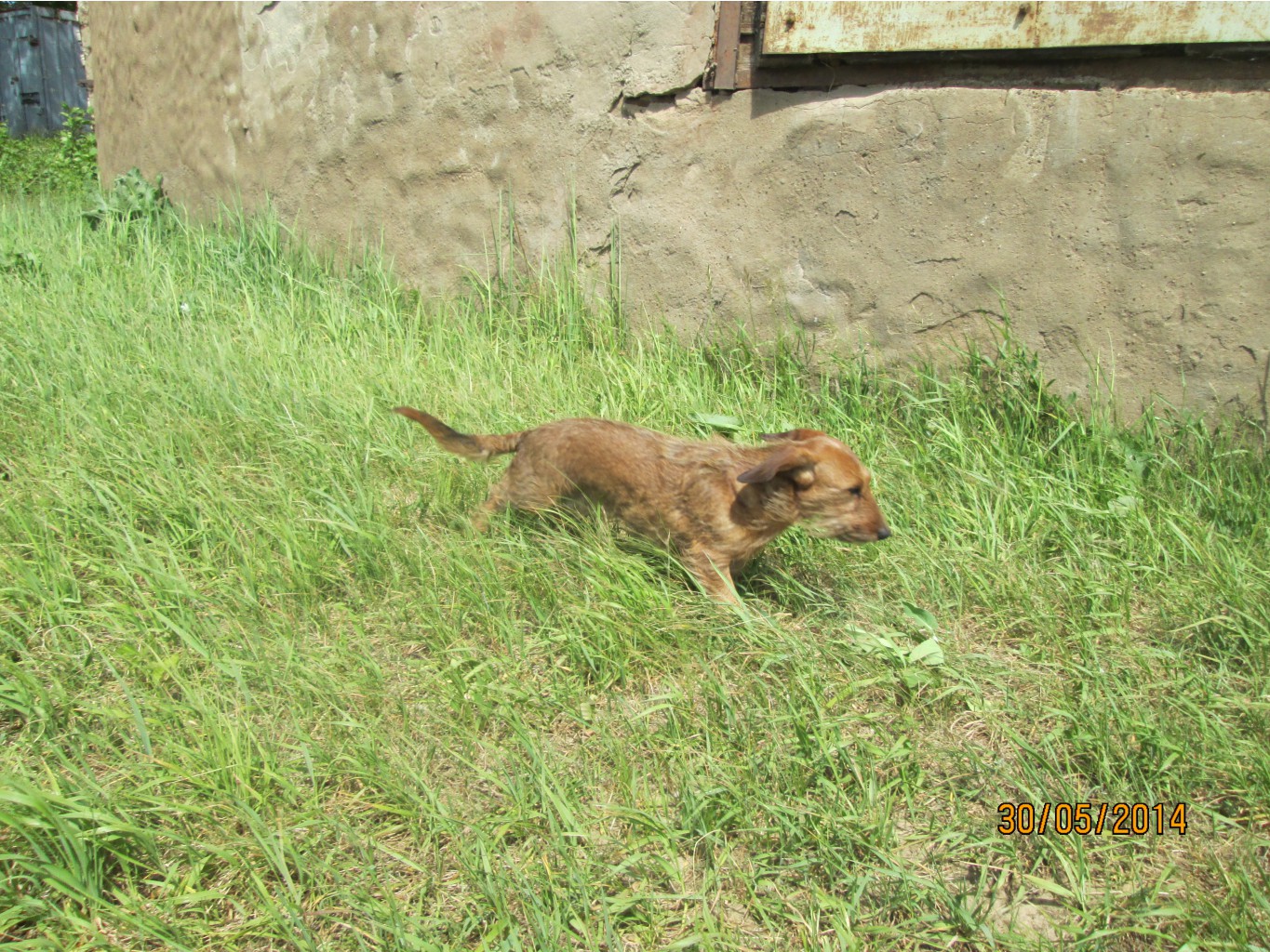 IMG_2472.JPG