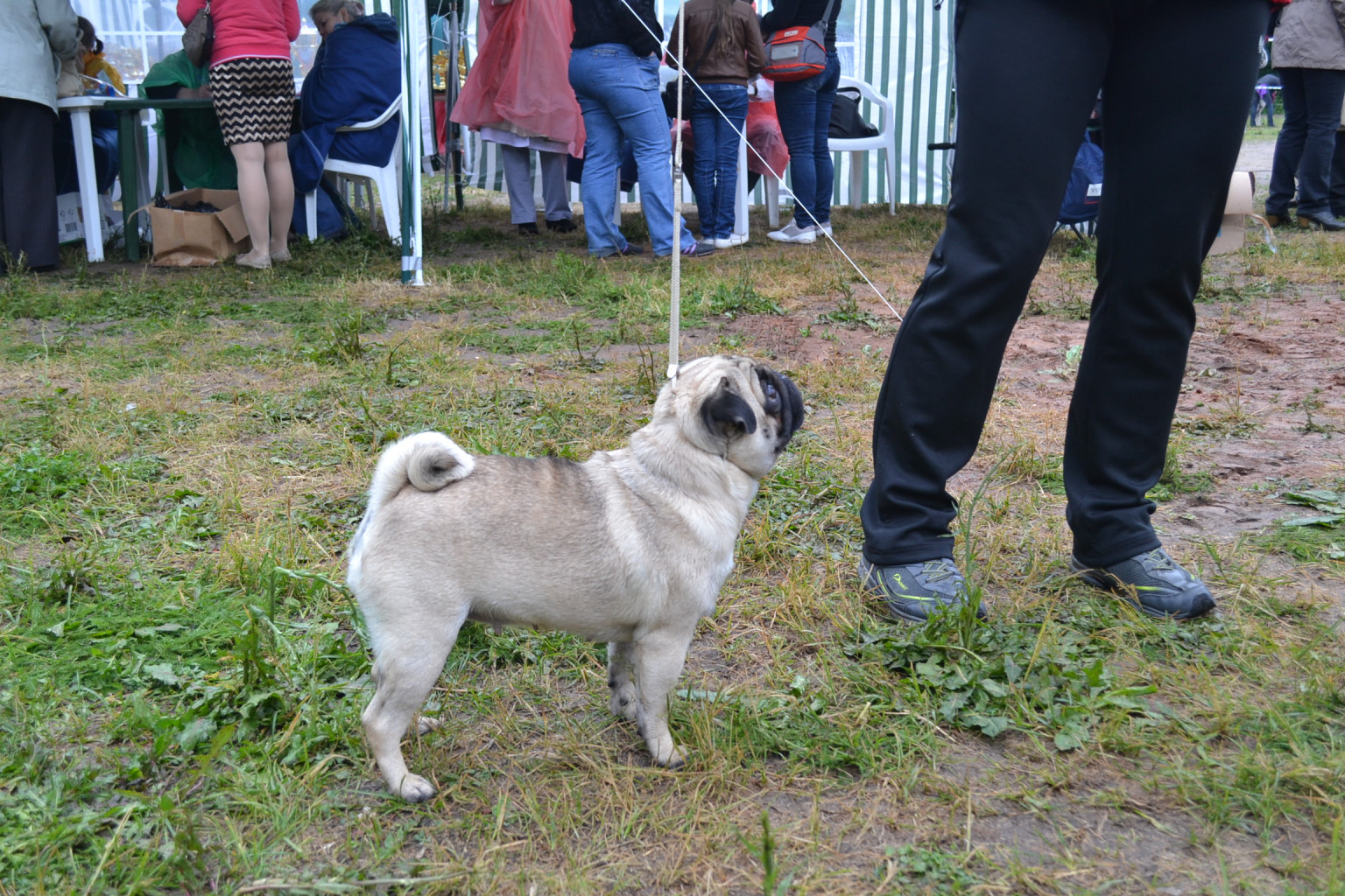 DSC_0606.JPG