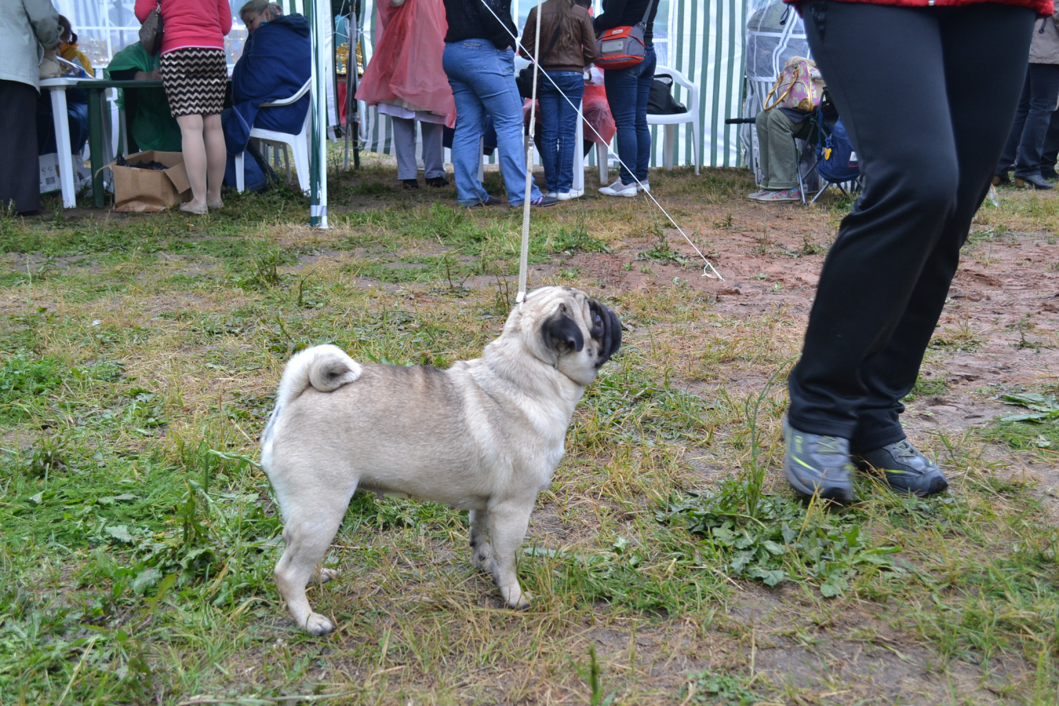 DSC_0607.JPG