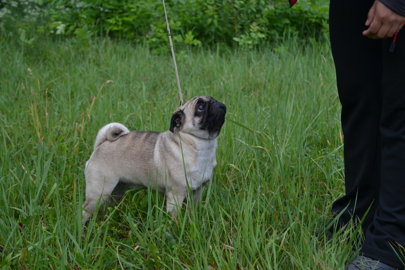 DSC_0567.JPG