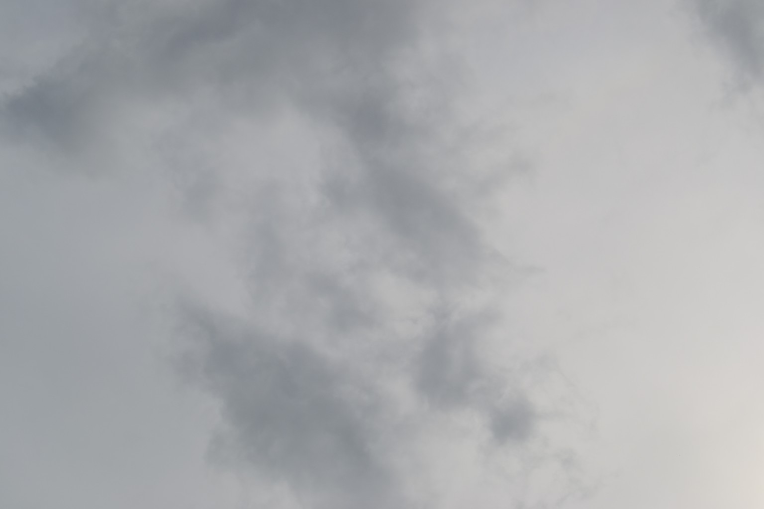 DSC_0669.JPG
