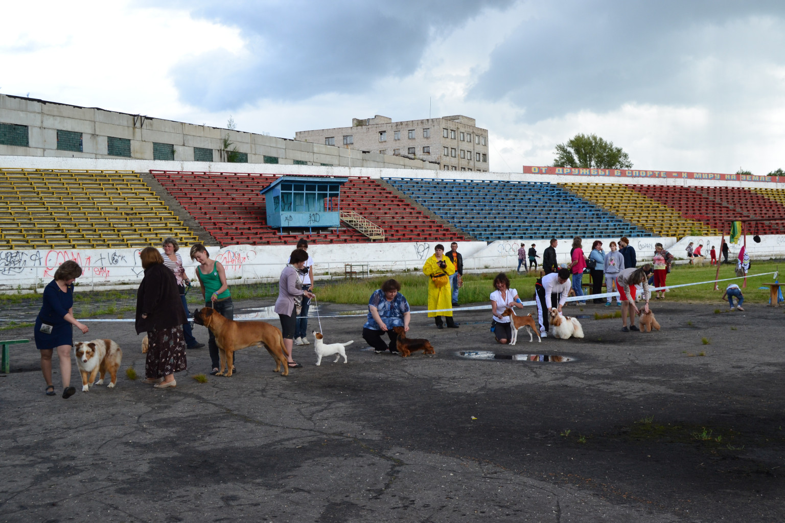 DSC_0751.JPG