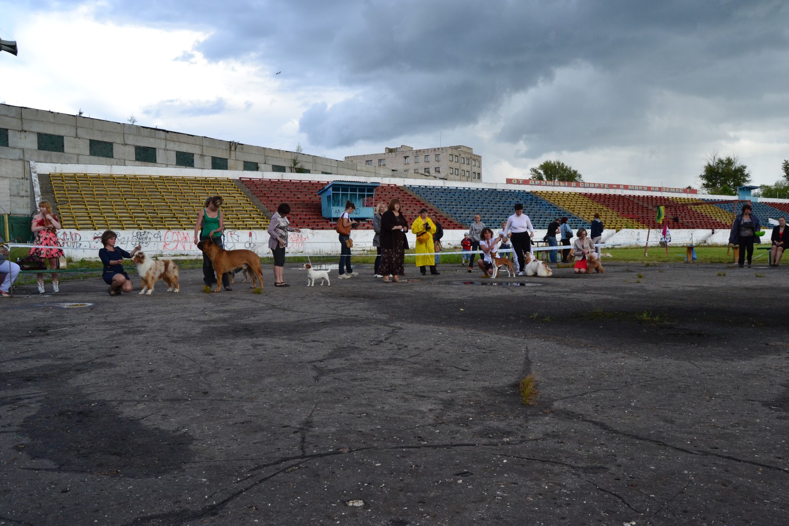 DSC_0756.JPG