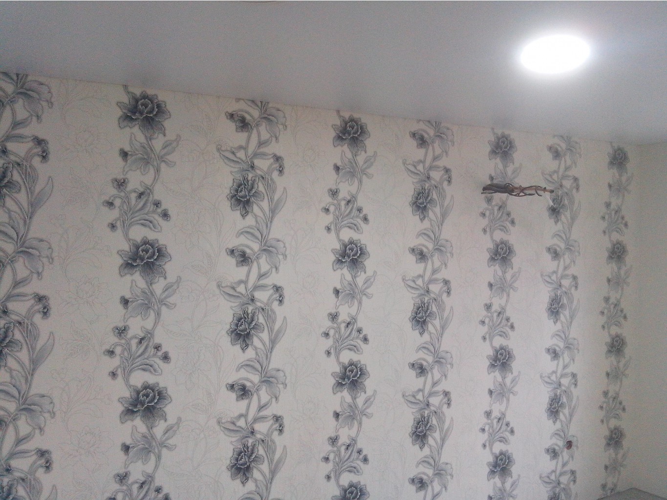 IMG_20131123_110640.jpg