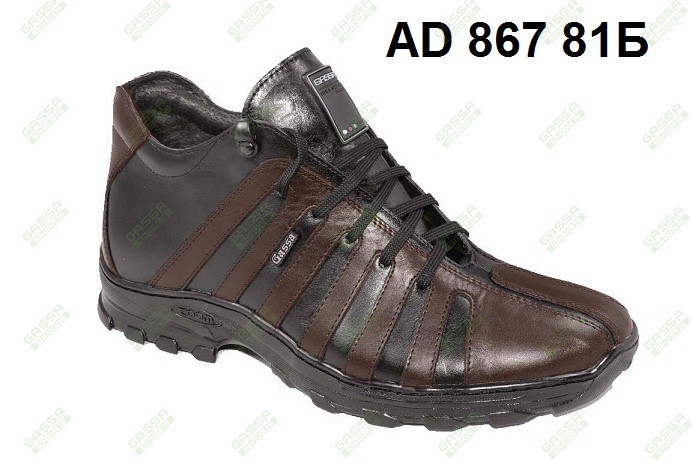 1800. AD 867 81.jpg