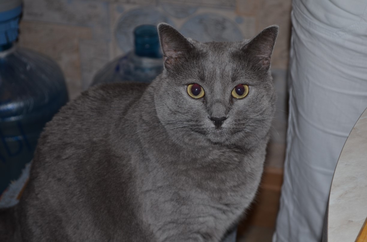 DSC_0004.jpg