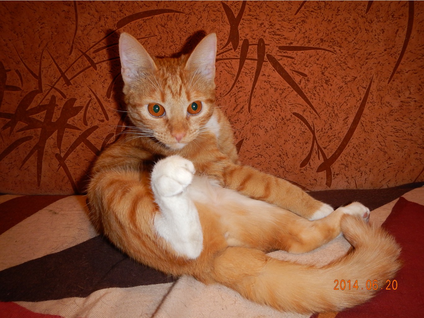 DSCN0817.JPG