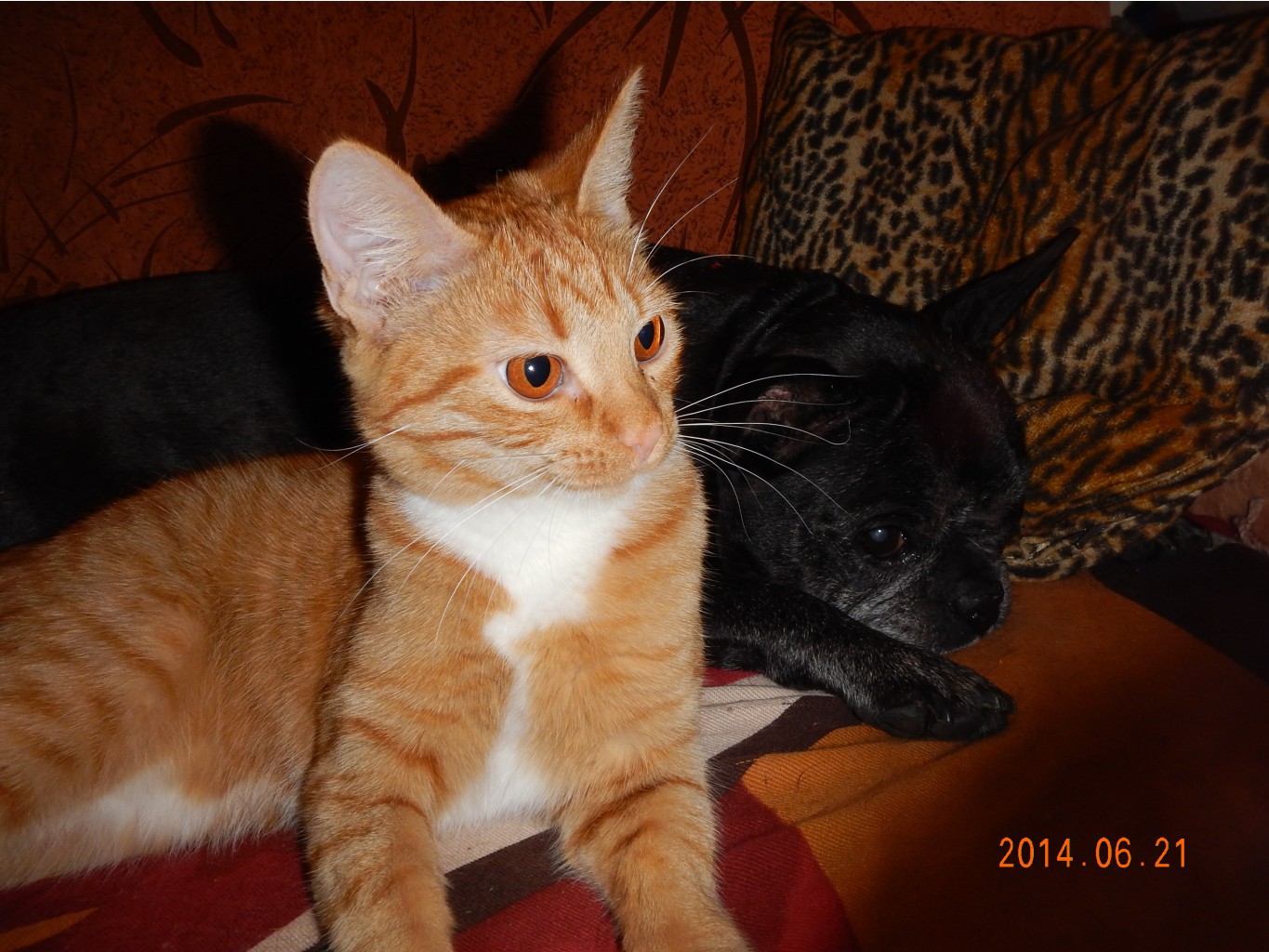 DSCN0822.JPG