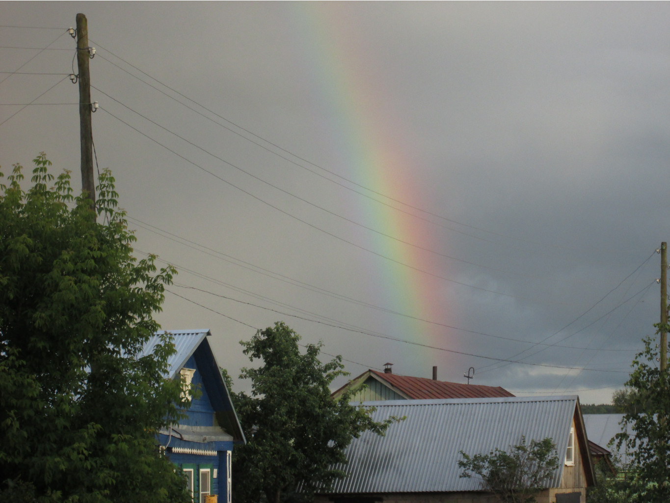IMG_0787.JPG