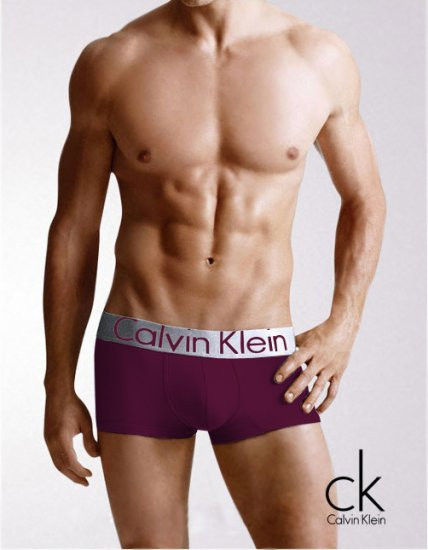 CK Men's Steel. 