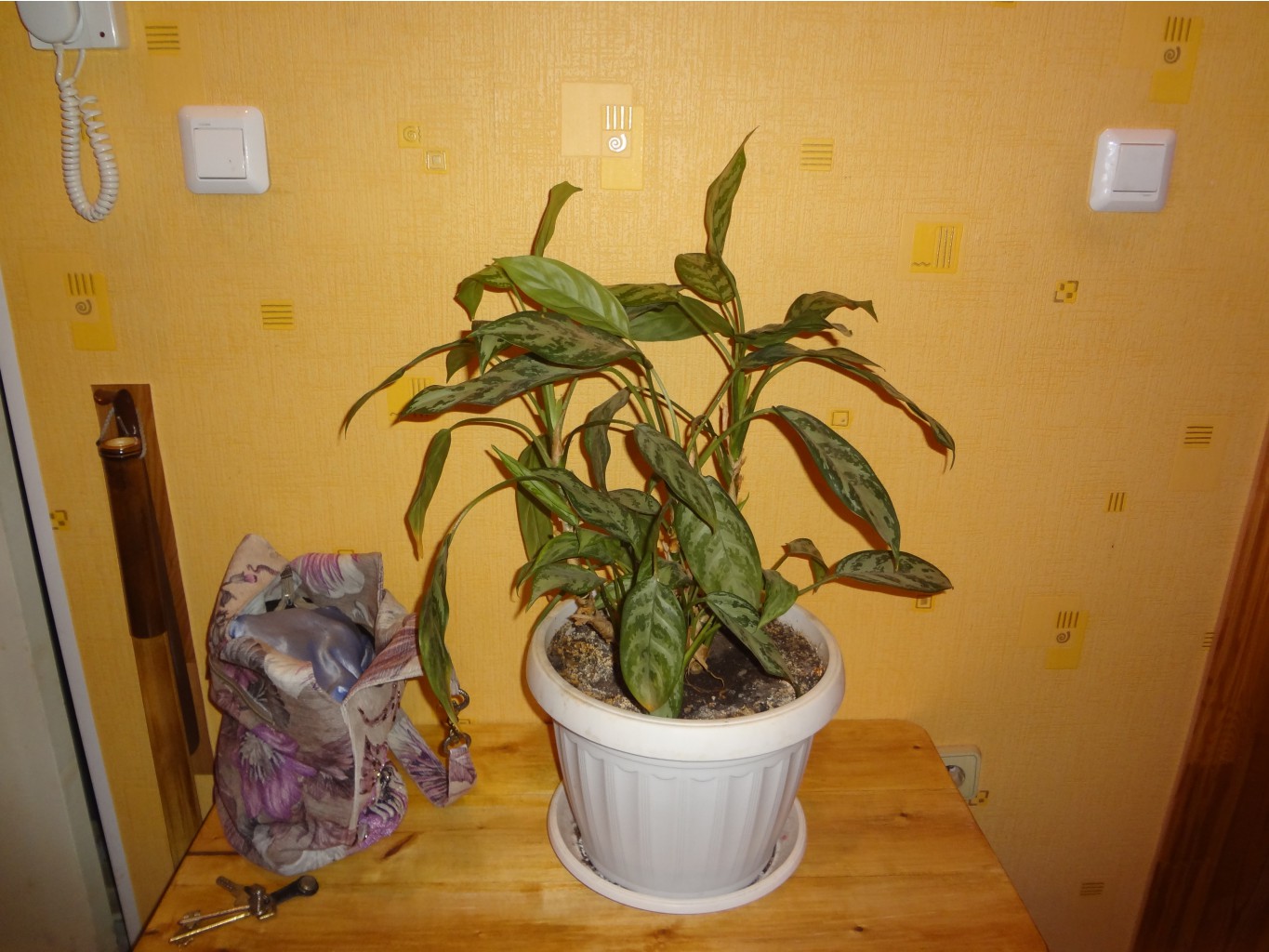 DSC03362.JPG