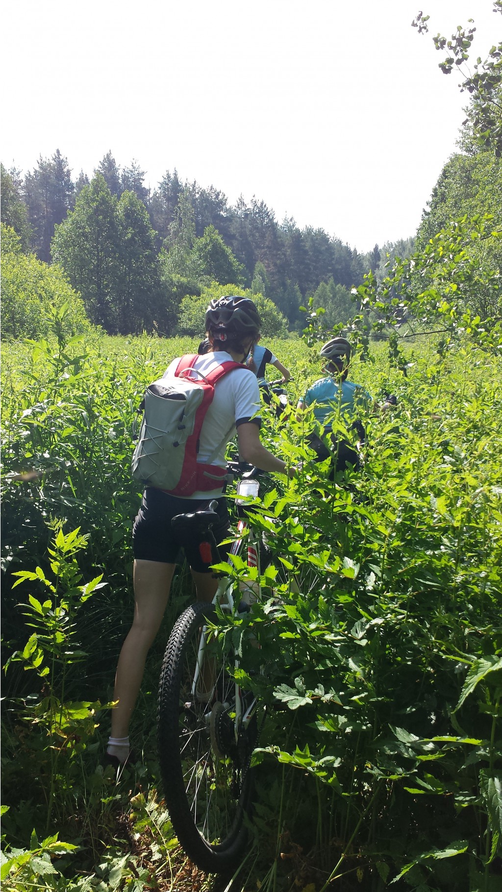 2014-06-21 10-41-36.JPG