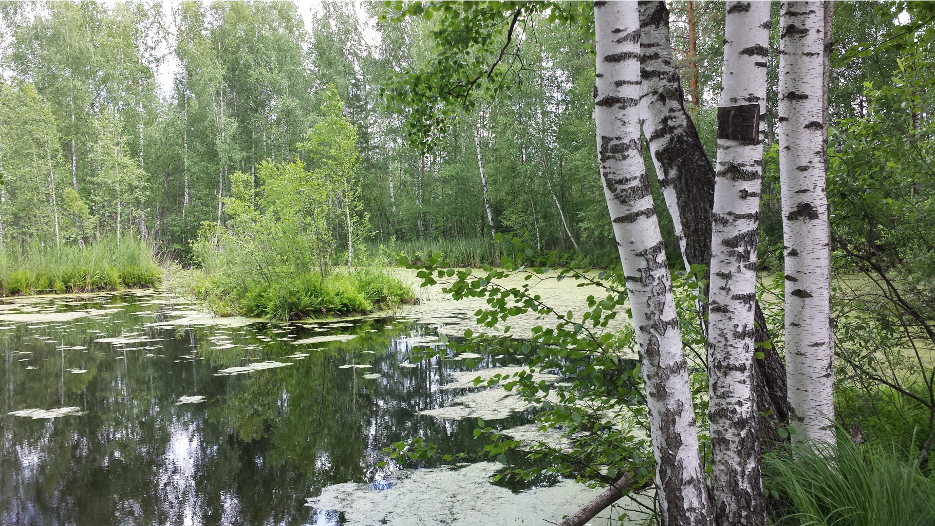 2014-06-21 13-36-17.JPG