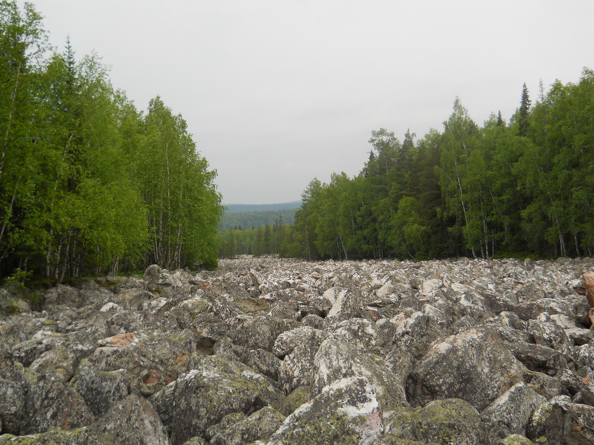 DSCN1168.JPG