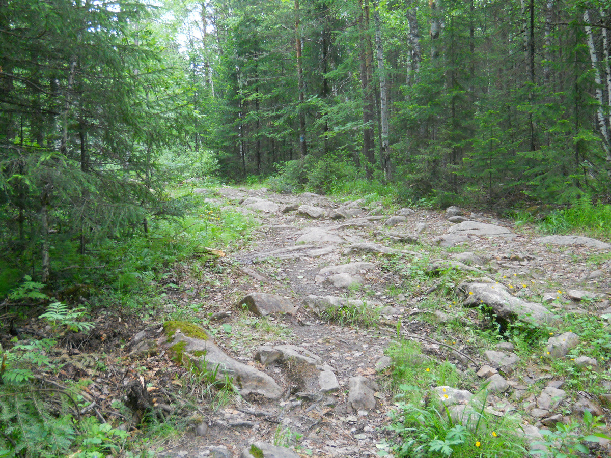 DSCN1177.JPG