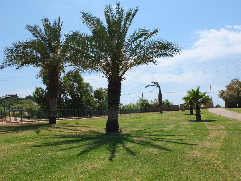 DSCF7972.JPG