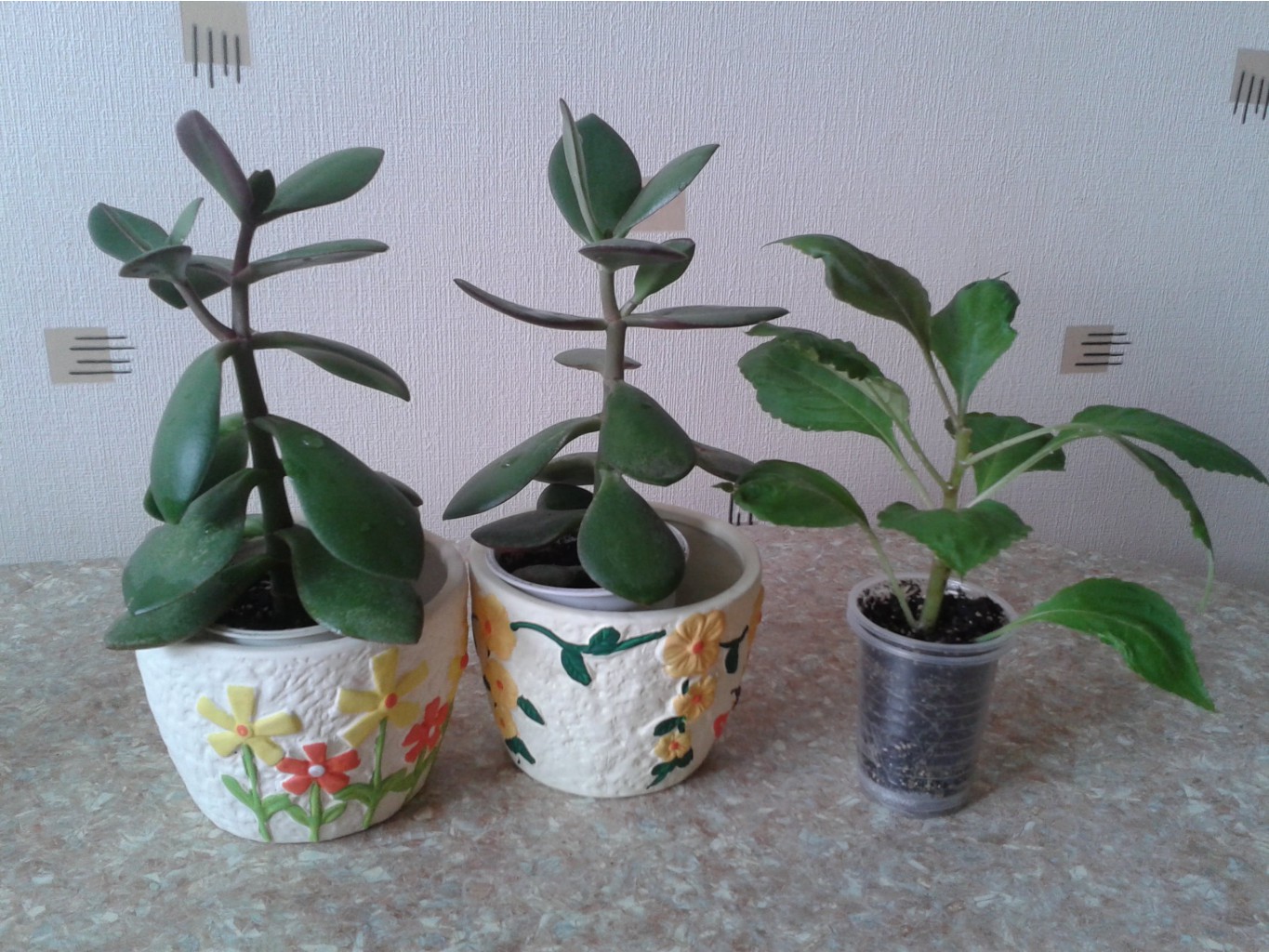 2014-06-27 14-17-48.JPG