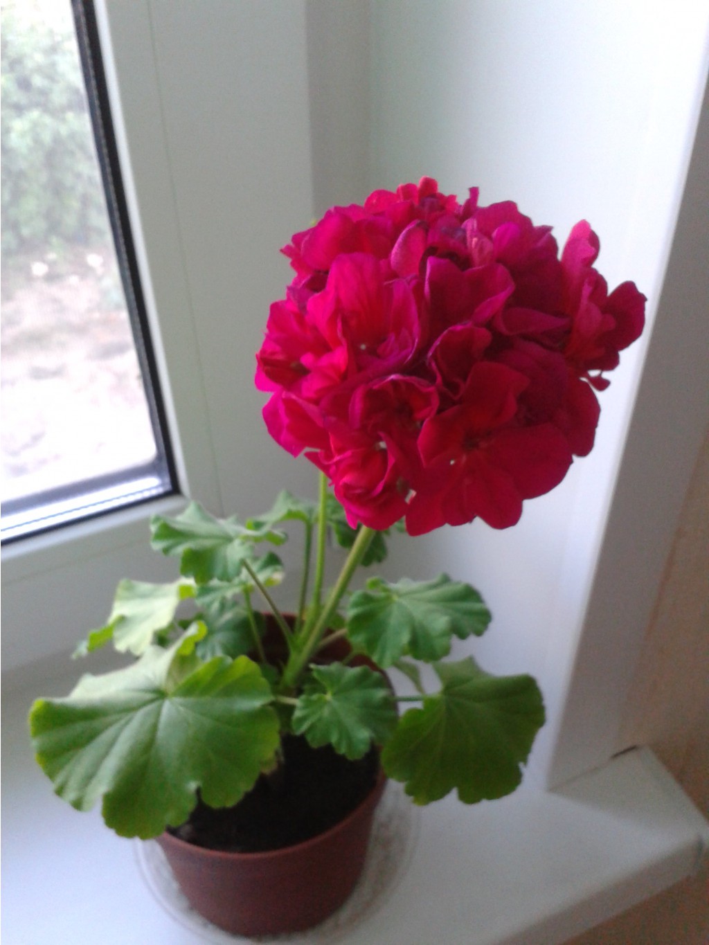2014-06-07 20-52-16.JPG