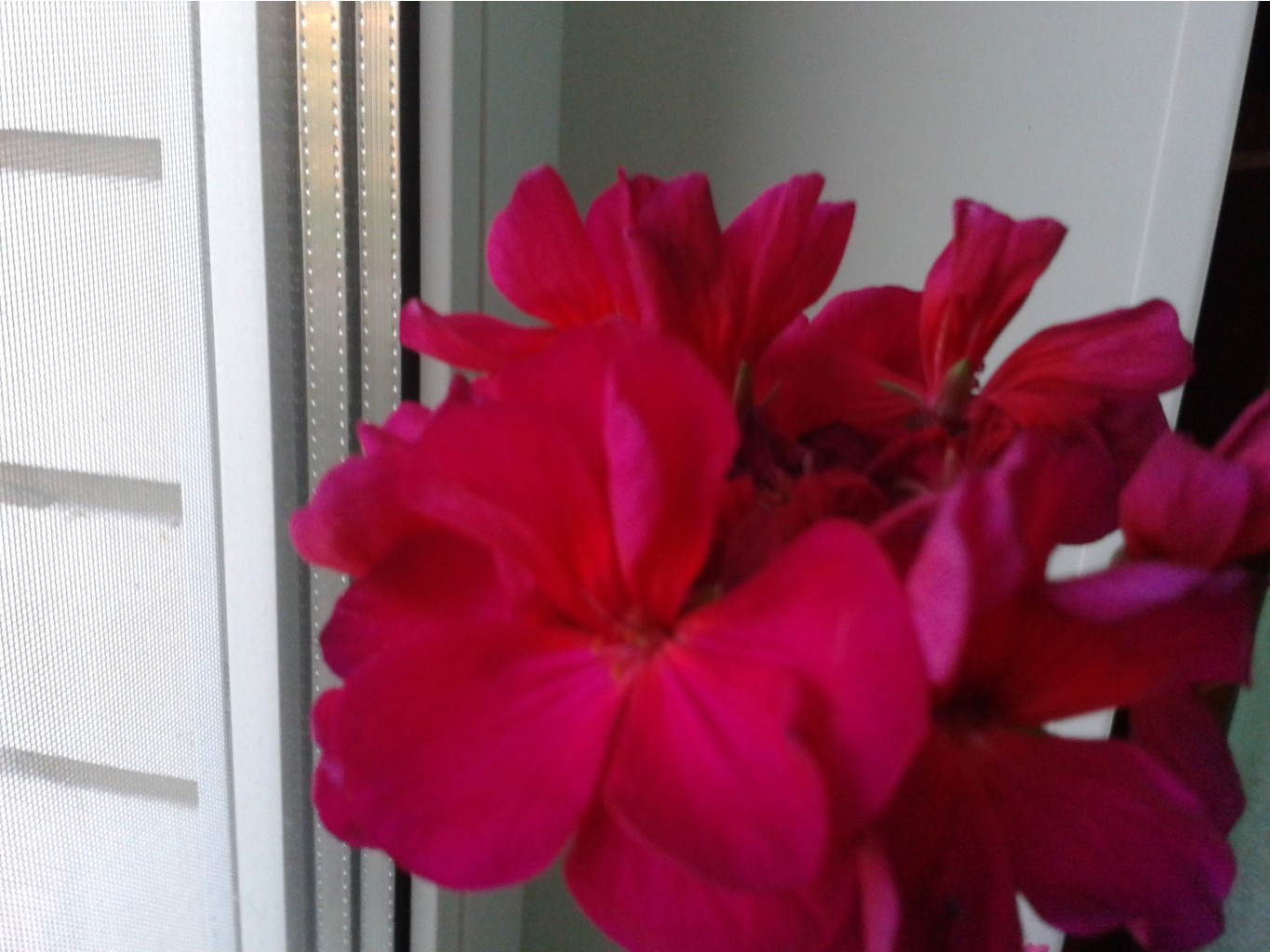 2014-06-07 20-52-57.JPG