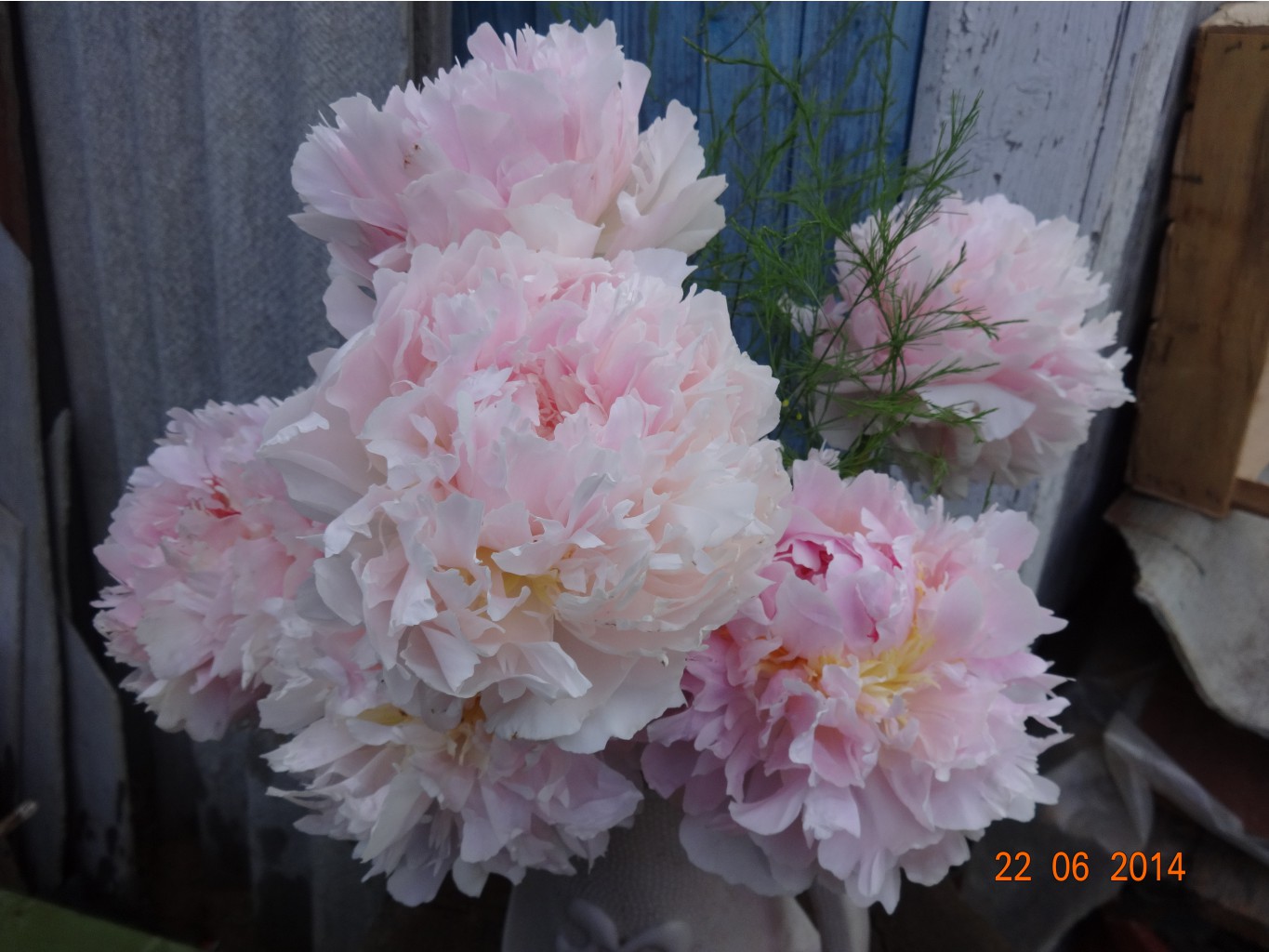 DSC00661.JPG