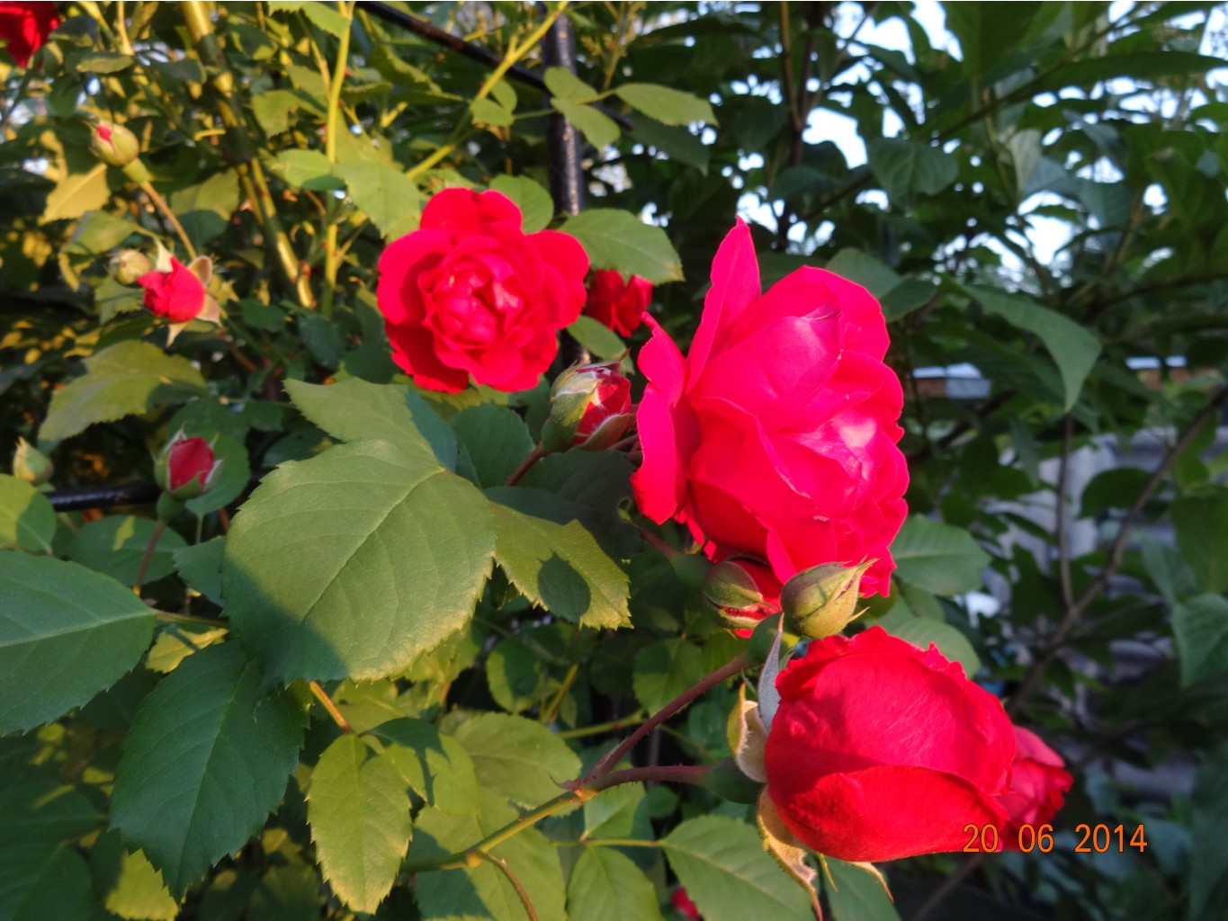DSC00625.JPG