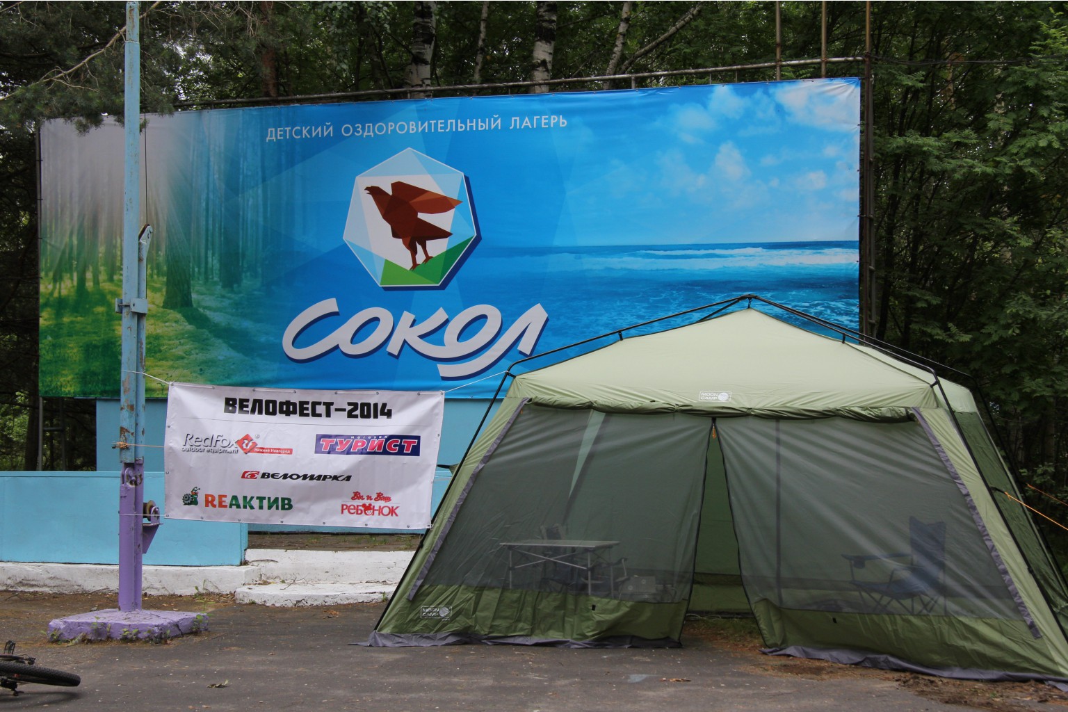 IMG_0216_cr.jpg
