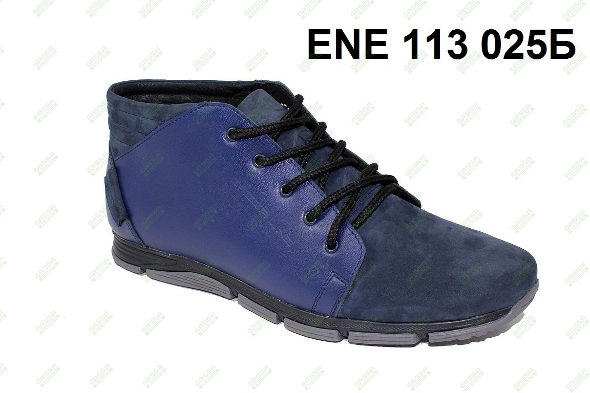 ENE 113 025  1100 .jpg