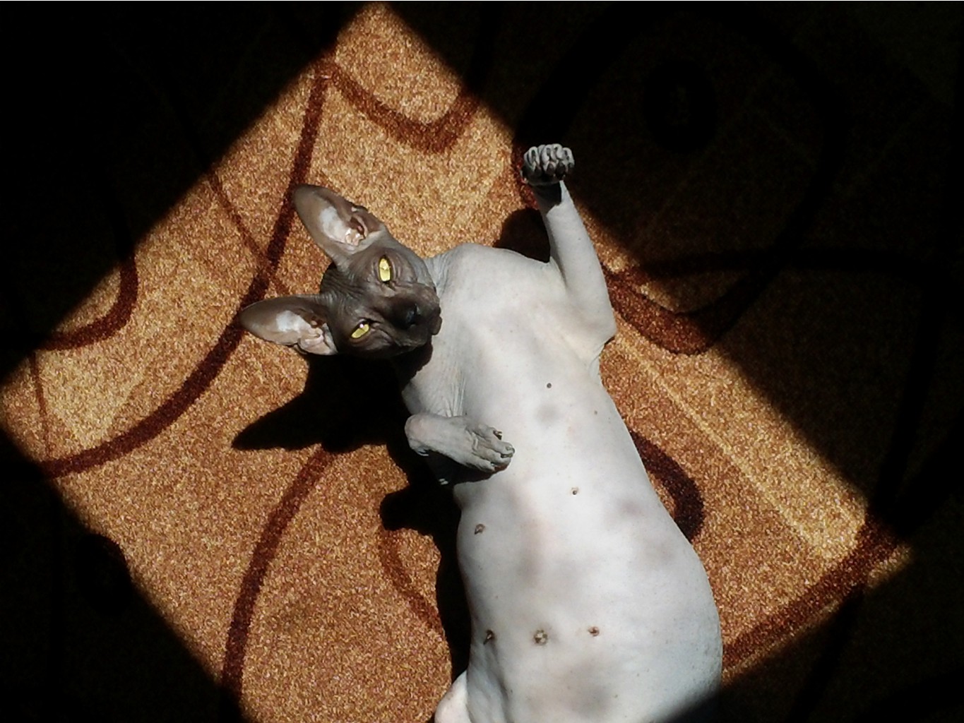 20140411_120613.jpg